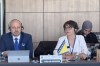 Members of the PA BiH Delegation to the PA of the Union for the Mediterranean Milan Petković and Rejhana Dervišević participated in the meeting of the Committee for Economic and Financial Affairs, Social Affairs and Education PA UzM in Istanbul